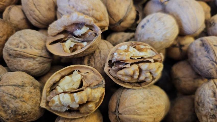 Yıllarca kabuğunu çöpe attık, meğer tam bir gençlik iksiriymiş! Kaynatıp suyunu içen 10 yaş gençleşiyor