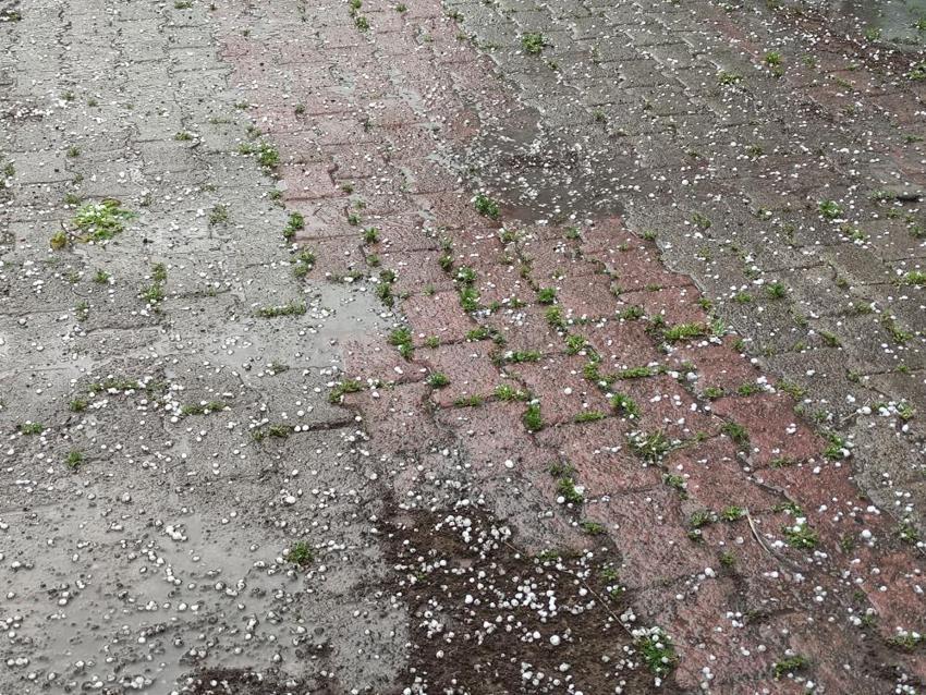 Dolu yağışı Ardahan'ı vurdu! Tarım arazilerinde büyük hasar oluştu