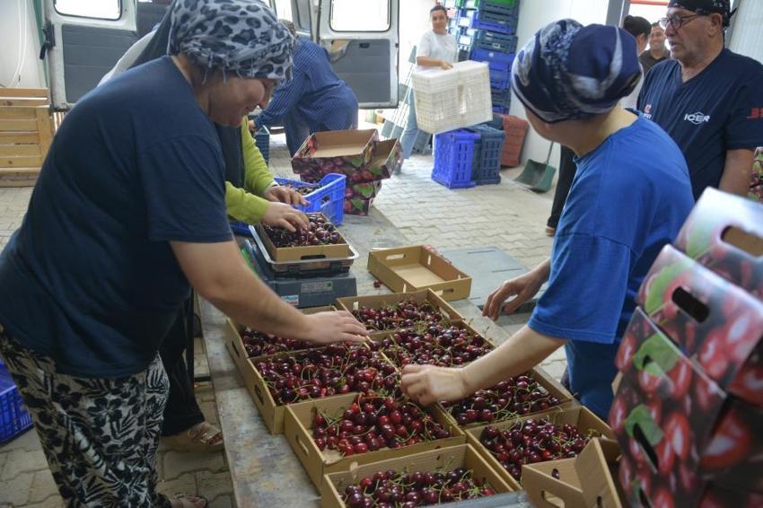 Yerel üretimi dijital pazara taşıdı! 70 kişiye ekmek kapısı oldu: Mahsul tarlada kalmıyor, fazla ürünler katma değere dönüşüyor