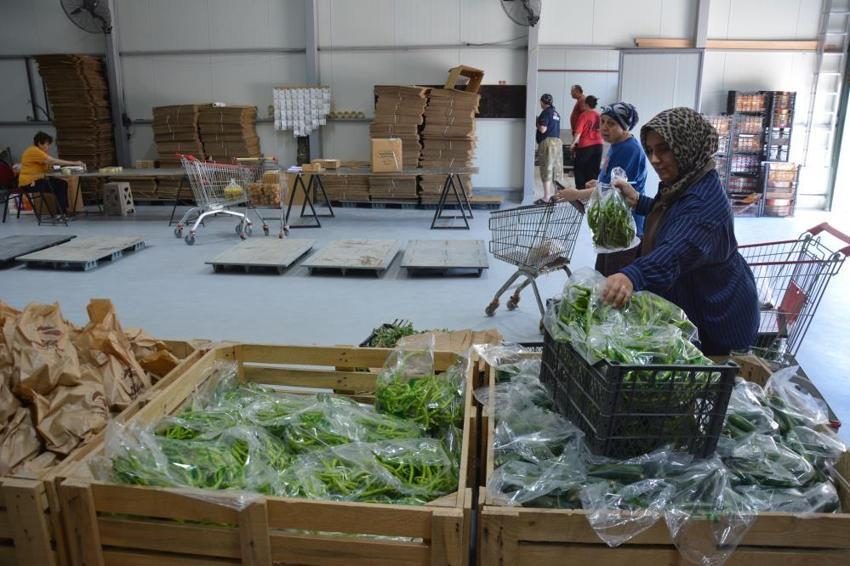 Yerel üretimi dijital pazara taşıdı! 70 kişiye ekmek kapısı oldu: Mahsul tarlada kalmıyor, fazla ürünler katma değere dönüşüyor