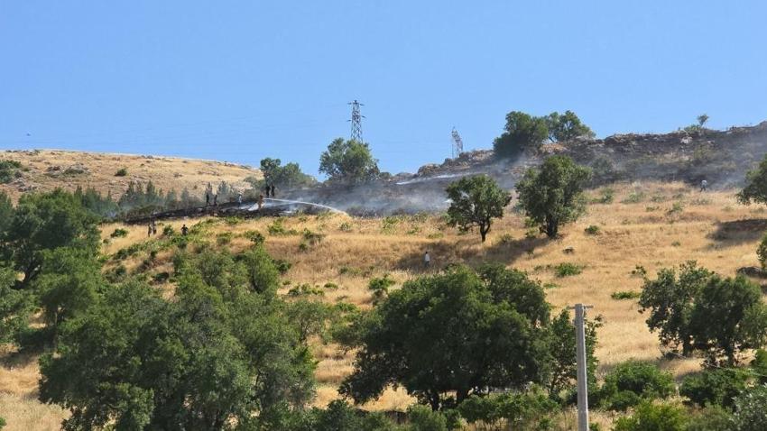 Diyarbakır'da yüksek gerilim hattına çarpan kuş yangın çıkardı