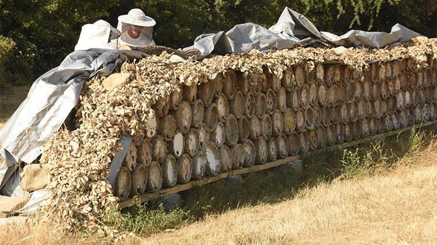 NATO Zirvesi'nde gastronomi şöleni: Dünya liderlerine Hizan kara kovan balı ikram edildi