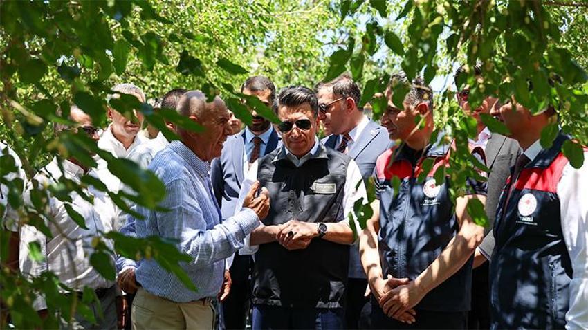 Donda kaybeden Ulukale dutunda bu yıl patlama: 650 ton rekolte bekleniyor