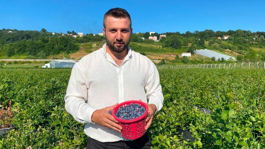 Sinop'ta yaban mersini hasadı başladı: Kilogram fiyatı 650 ile 700 lira arasında değişiyor