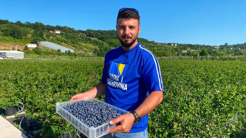 Sinop'ta yaban mersini hasadı başladı: Kilogram fiyatı 650 ile 700 lira arasında değişiyor