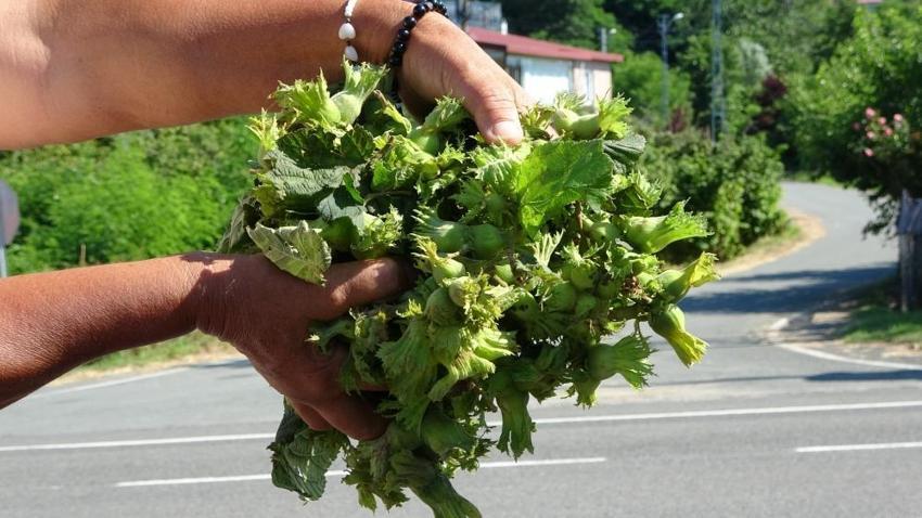 Daha hasat başlamadı ama tezgâhlarda yerini aldı! Kilosu 200 liradan satılıyor