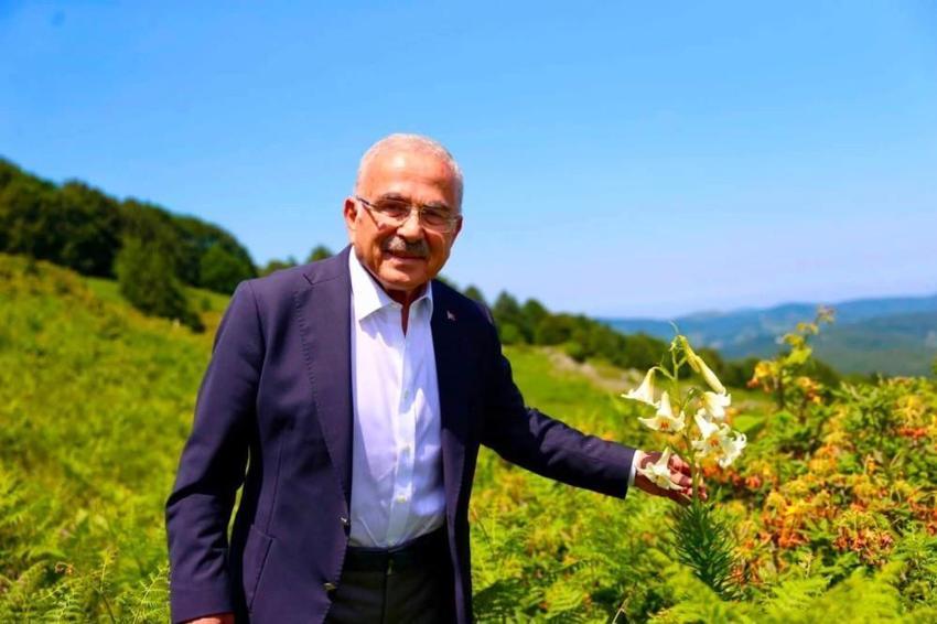 Dünyada sadece Ordu'da yetişiyor: Tek bir tanesini koparmanın bedeli 699 bin TL!