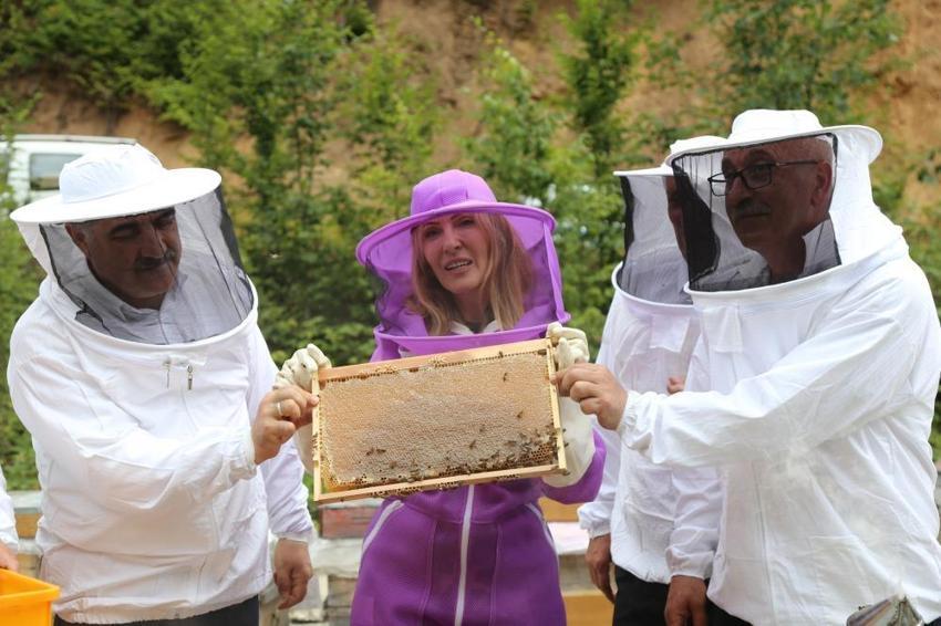 Artvin'de bal fiyatları belli oldu! İşte yeni sezonun taban fiyatları