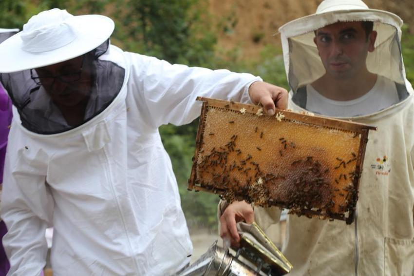 Artvin'de bal fiyatları belli oldu! İşte yeni sezonun taban fiyatları