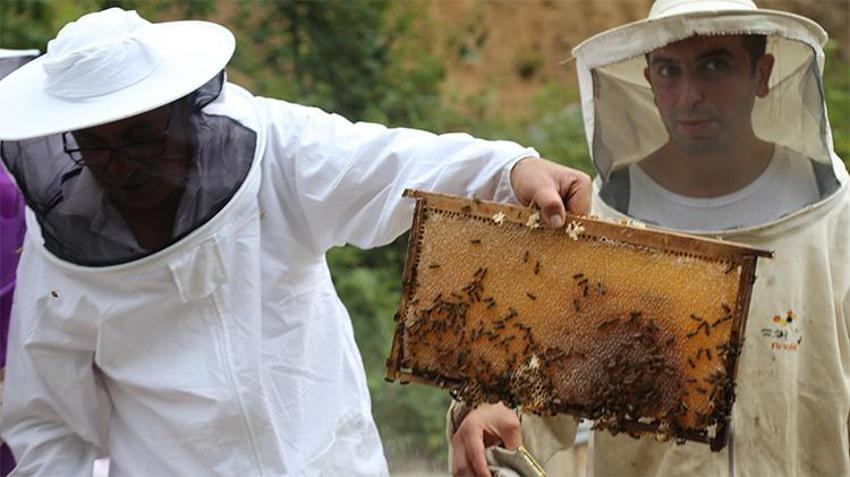 Gram altınla yarışıyor: Artvin’de yeni sezon bal fiyatları açıklandı