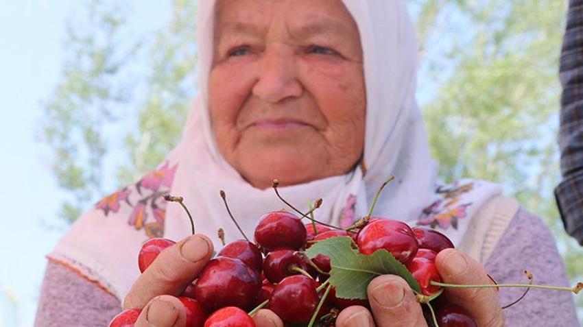 Geçen yıl zirai don vurmuştu! Bu yıl dallar meyveden kırılıyor: Üreticinin kazancı ikiye katlanacak