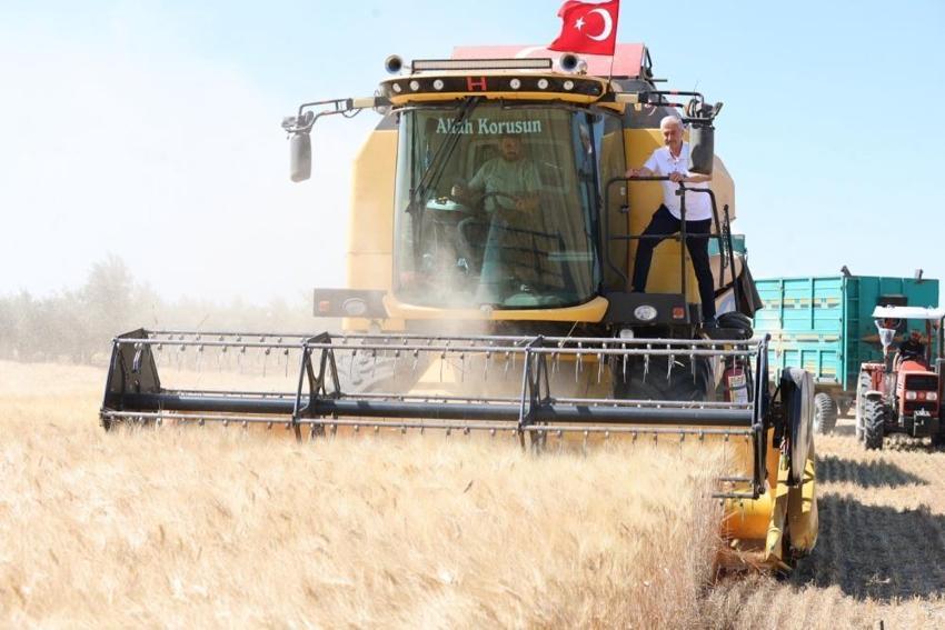 Gaziantep'te görülmemiş rekor: Şahinbey'de tarihi buğday hasadı başladı, geçen yıla göre tam 5 kat birden fırladı! İşte o rakamlar!