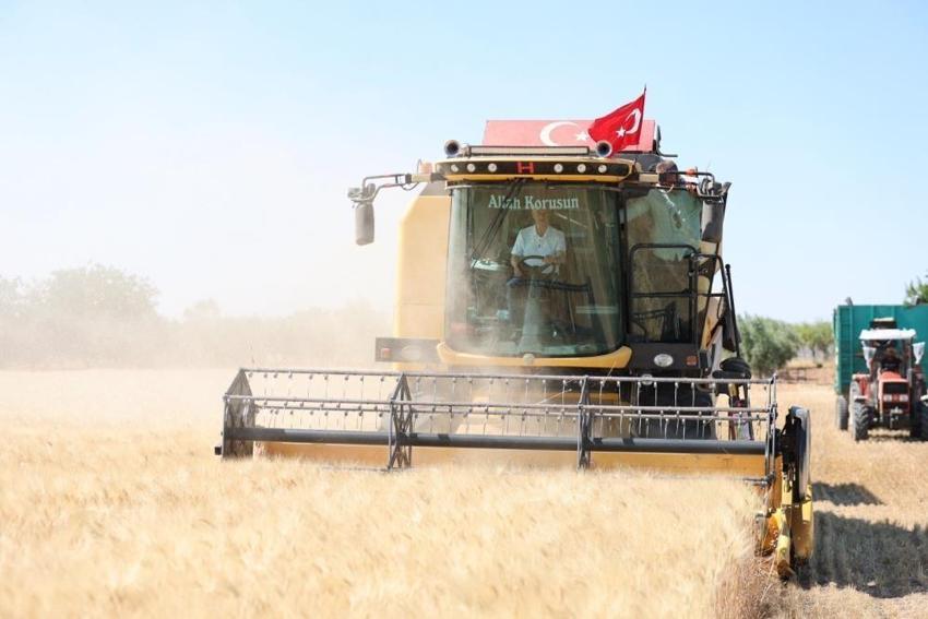 Gaziantep'te görülmemiş rekor: Şahinbey'de tarihi buğday hasadı başladı, geçen yıla göre tam 5 kat birden fırladı! İşte o rakamlar!