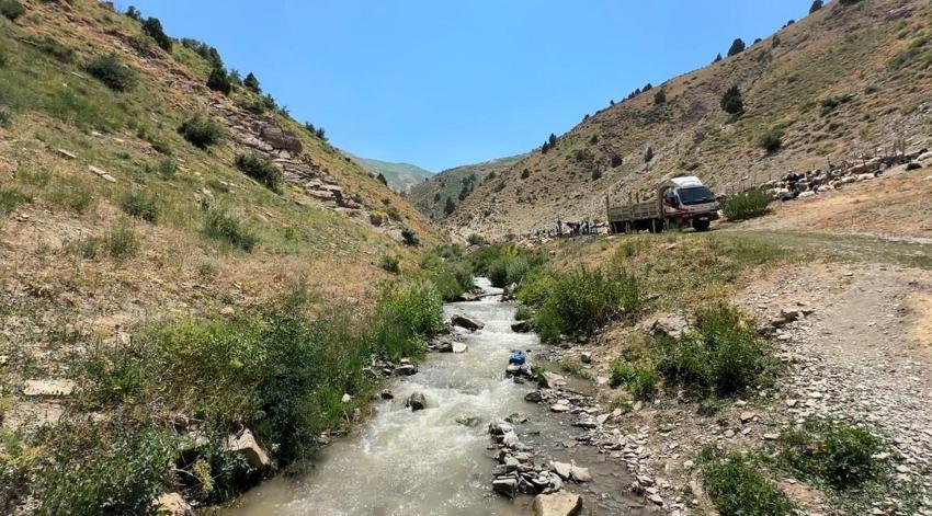 Hakkari'de berivanların zorlu mesaisi: Kavurucu güneş altında süt sağma dönemi bir aydır sürüyor