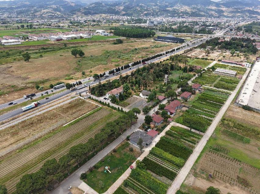 'Yeşil Vatan'a Samsun'dan yılda 3 milyon fidan katkısı