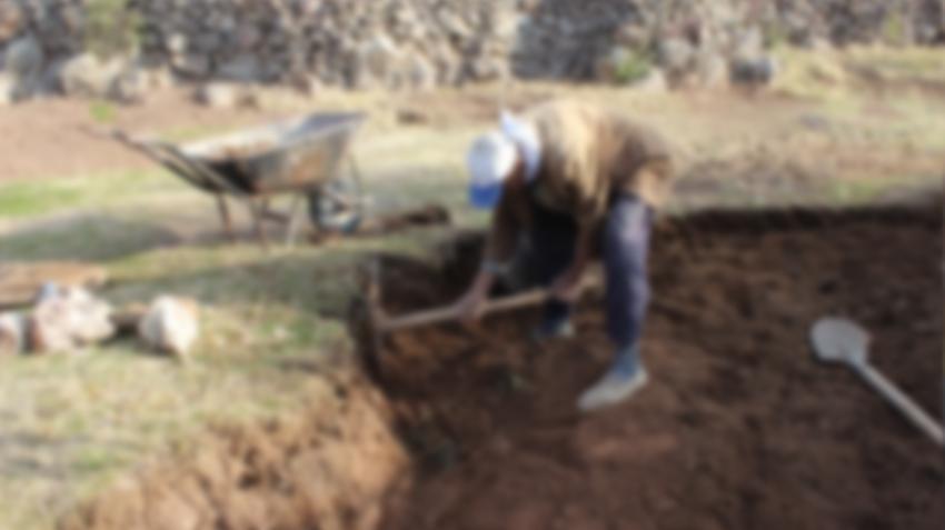 Elazığ'ın köyünde tarlada çalışırken buldu! Türkiye'de daha önce görülmedi, yüzlercesi fışkırdı