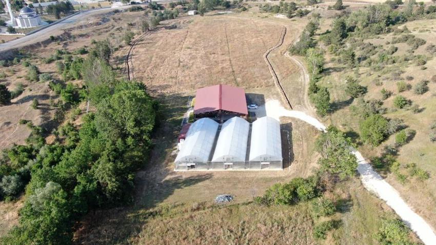 Kastamonu'da kazancı artıracak proje! Ücretsiz dağıtılıyor, çiftçiye yeni gelir kapısı oldu