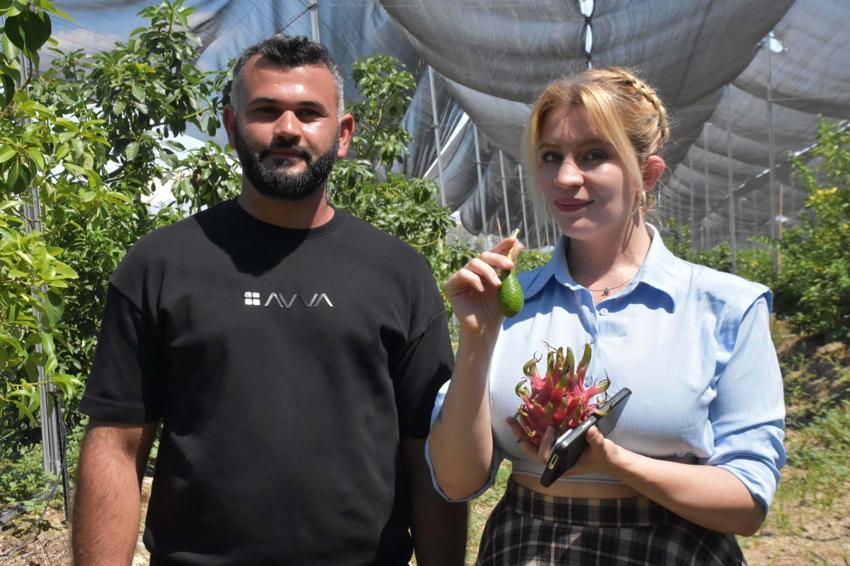 Ege'de bir ilke imza attılar! Aydın'da hayata geçirilen bu yöntem ile rekolte katlandı