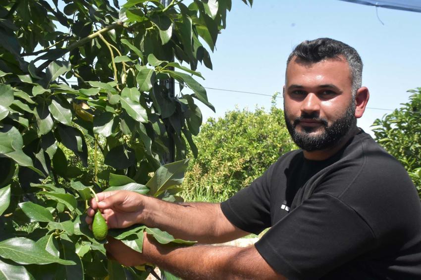 Ege'de bir ilke imza attılar! Aydın'da hayata geçirilen bu yöntem ile rekolte katlandı