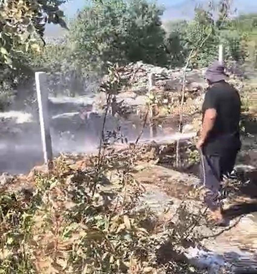 Dicle'de meydana gelen yangında meyve ağaçları zarar gördü!