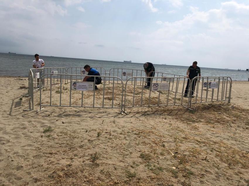 Tekirdağ'da bulundu ve koruma altına alındı! Koparmanın cezası 700 bin TL