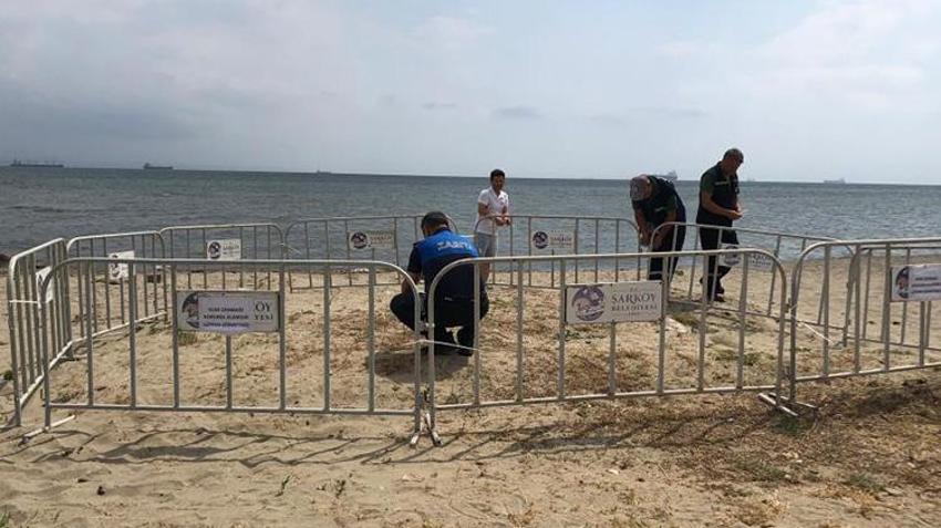 Tekirdağ'da bulundu ve koruma altına alındı! Koparmanın cezası 700 bin TL