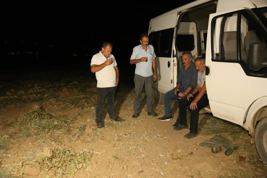 Kastamonu'da hasat bitti nöbet başladı! Sabaha kadar tarlada tetikteler