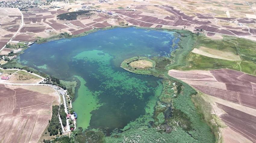 Sivas'ta kesin korunacak alan ilan edildi: Bu yıl doldu taştı