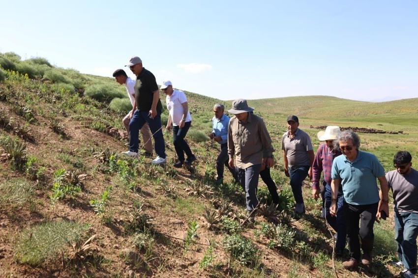Bingöl'de yüzbinlerce küçükbaşı koruyan mucize: 2 bin 600 rakımda manzara değişti