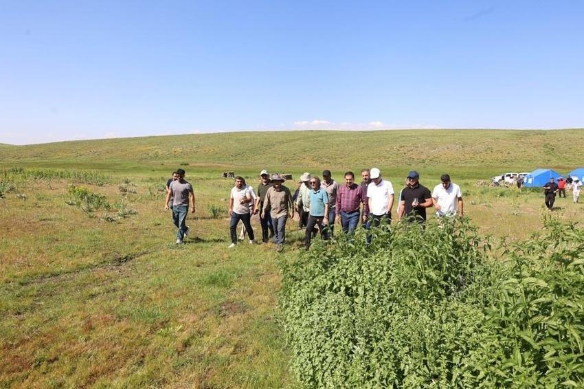 Bingöl'de yüzbinlerce küçükbaşı koruyan mucize: 2 bin 600 rakımda manzara değişti