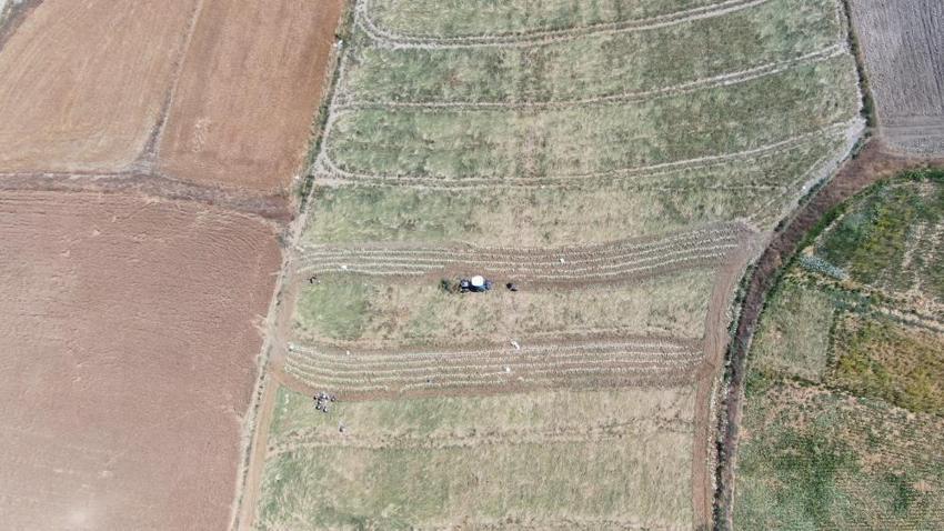 4 bin ailenin geçim kaynağı: Kastamonu'da sadece kadınlar üretiyor