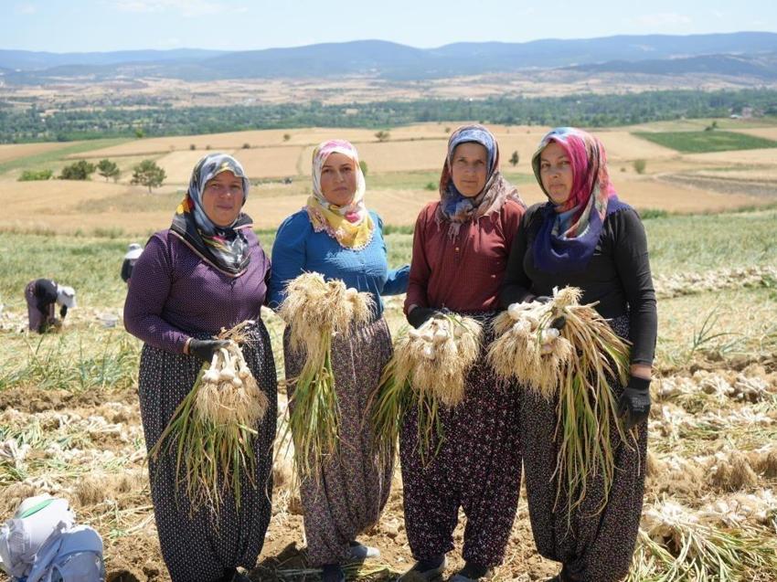 4 bin ailenin geçim kaynağı: Kastamonu'da sadece kadınlar üretiyor