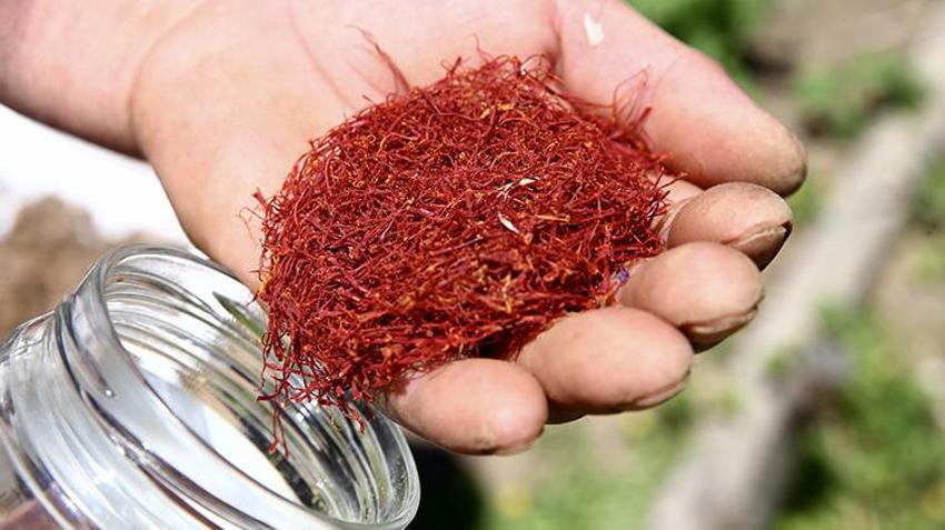 Fındığa alternatif aradı, arazisine o ürünleri ekti! Kazancı katladı, yurt dışında kapış kapış gidiyor
