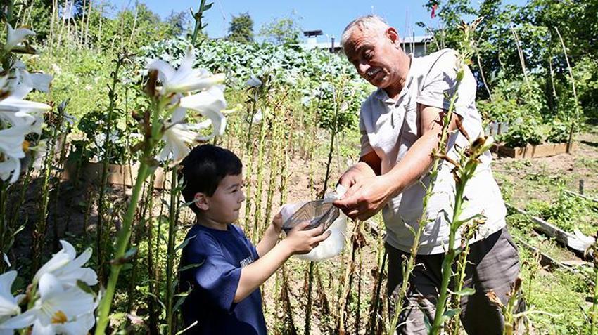 Fındığa alternatif aradı, arazisine o ürünleri ekti! Kazancı katladı, yurt dışında kapış kapış gidiyor