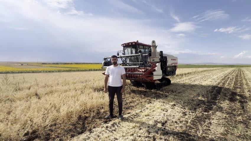 Edirne'nin nohut hasadında yüz güldüren sonuç: Üreticiler tarladan çıkamıyor