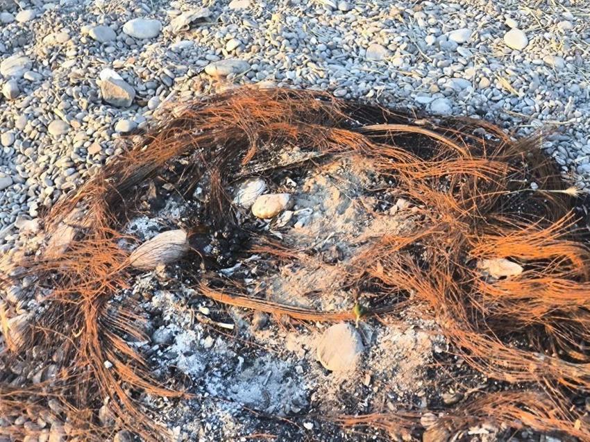 Van'ın Mavi Bayraklı plajında turistler isyan etti: Mollakasım Sahili'nde kahreden görüntü
