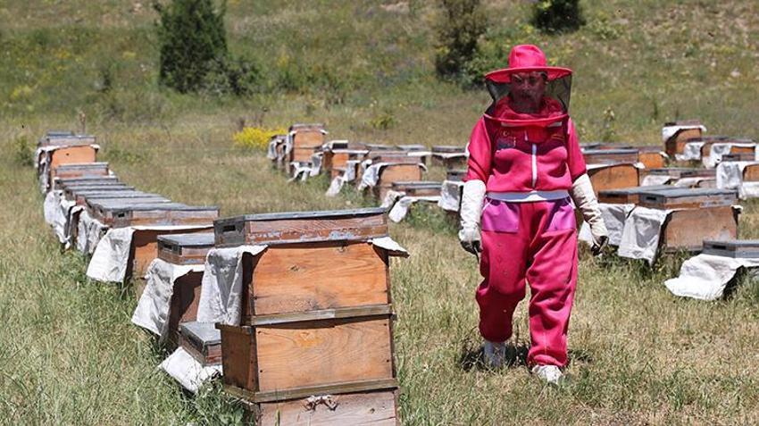 KOSGEB desteğiyle başladı, coğrafi işaretli ürünü markaya dönüştürdü: 400 kovana ulaştı, hedef 10 ton bal!