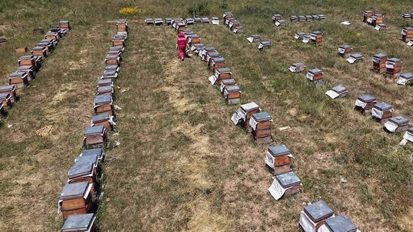 KOSGEB desteğiyle başladı, coğrafi işaretli ürünü markaya dönüştürdü: 400 kovana ulaştı, hedef 10 ton bal!