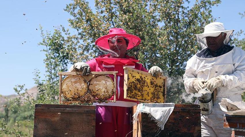 KOSGEB desteğiyle başladı, coğrafi işaretli ürünü markaya dönüştürdü: 400 kovana ulaştı, hedef 10 ton bal!