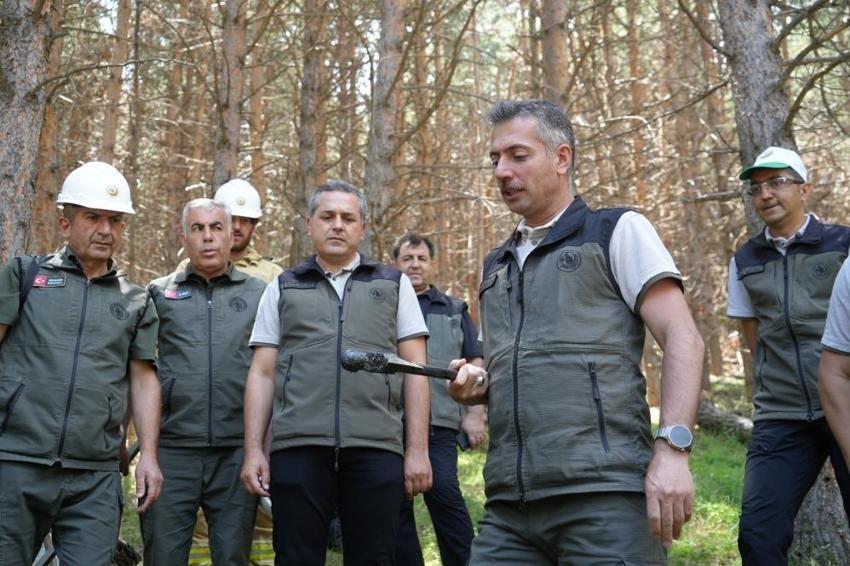 Erzurum ormanlarında başladı: Ağaç sağlığı için geliştirildi