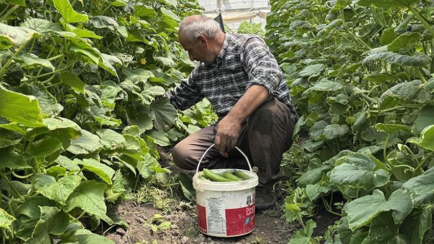 Sosyal medyada gördü, hurdalardan sıfırdan inşa etti: Sera sayısını 6'ya çıkardı, gece gündüz üretim yapıyor!