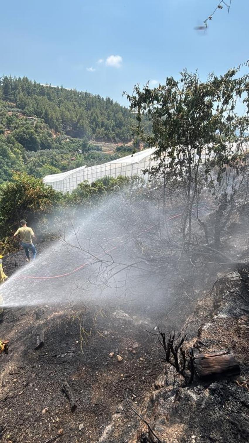 Alanya'da avokado bahçelerinde korkutan yangın!