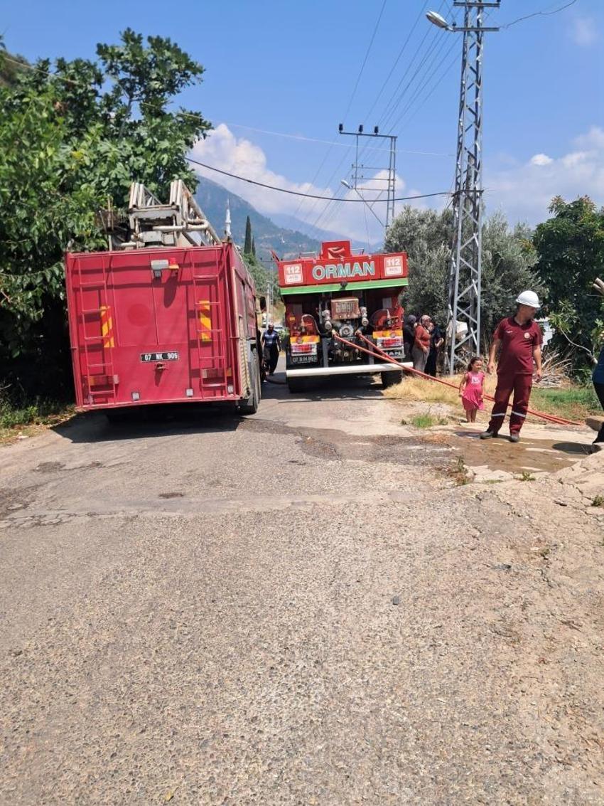 Alanya'da avokado bahçelerinde korkutan yangın!