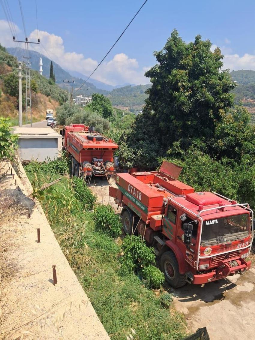 Alanya'da avokado bahçelerinde korkutan yangın!