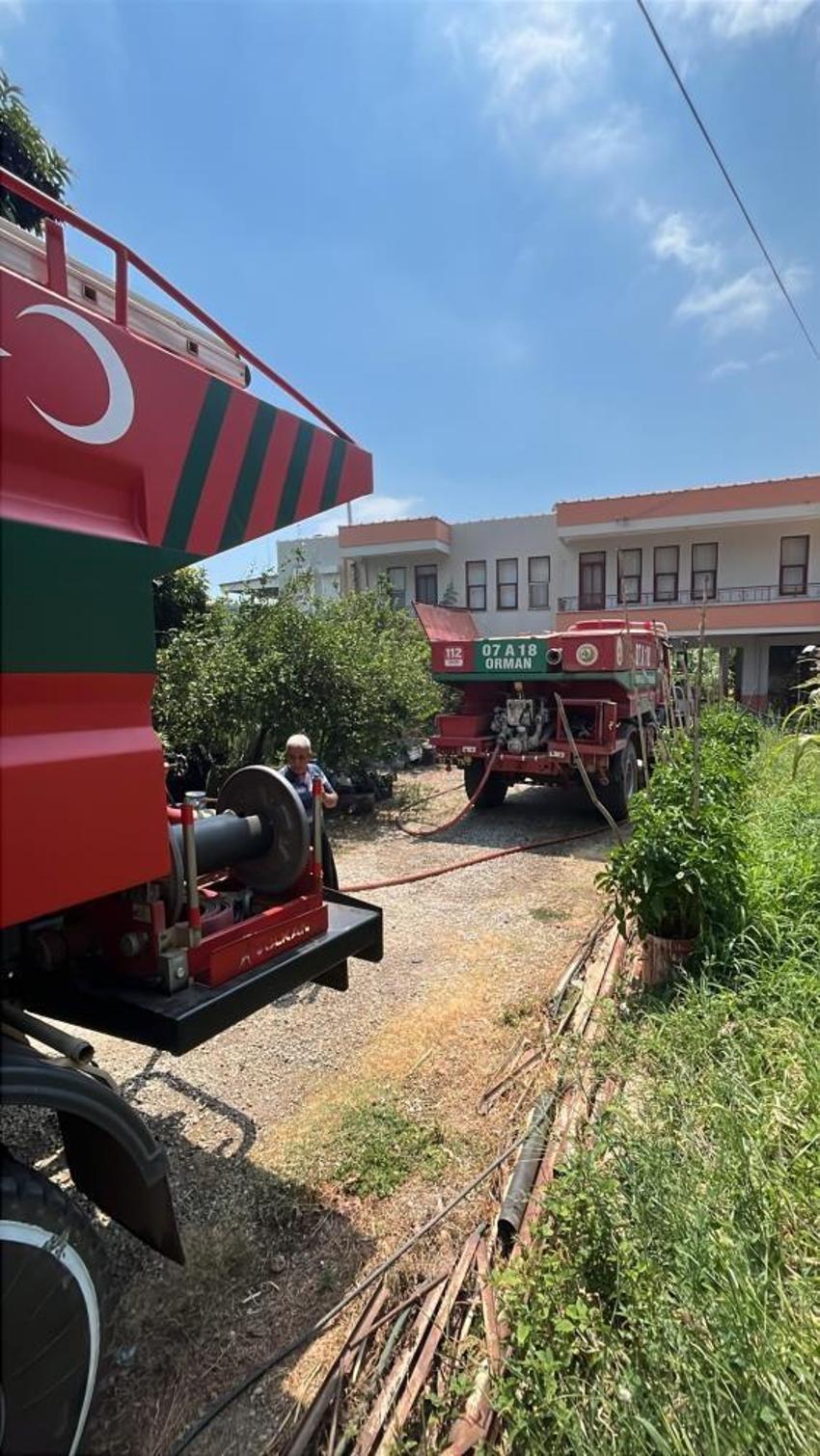 Alanya'da avokado bahçelerinde korkutan yangın!