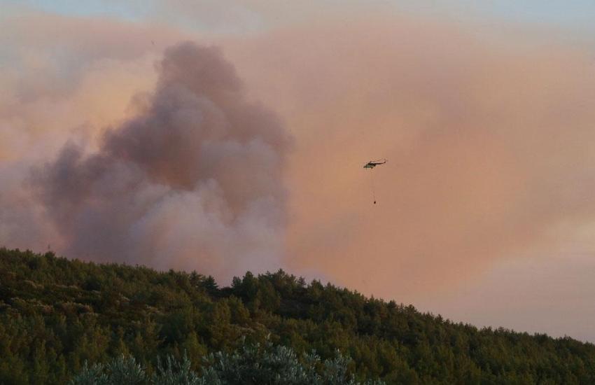 Milas'ta ormanlık alanda yangın çıktı ekipler müdahale ediyor