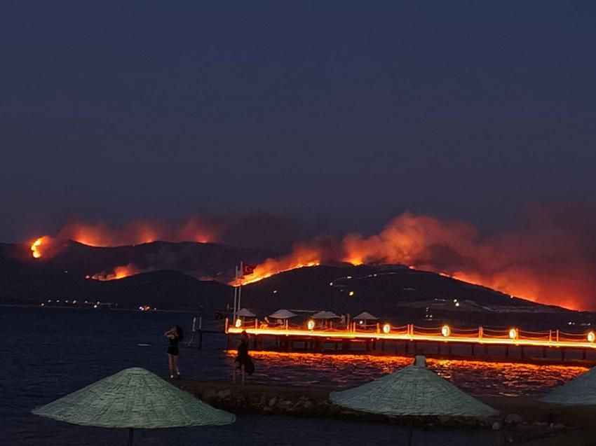 Milas'ta ormanlık alanda yangın çıktı ekipler müdahale ediyor! Muğla Valisi son durumu açıkladı