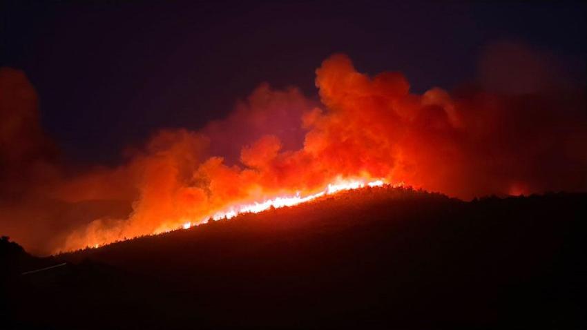 Milas'ta ormanlık alanda yangın çıktı ekipler müdahale ediyor! Muğla Valisi son durumu açıkladı