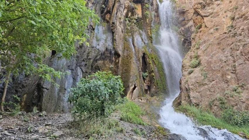 Hakkari'nin yeni gözdesi: Ava Ore görenleri mest ediyor