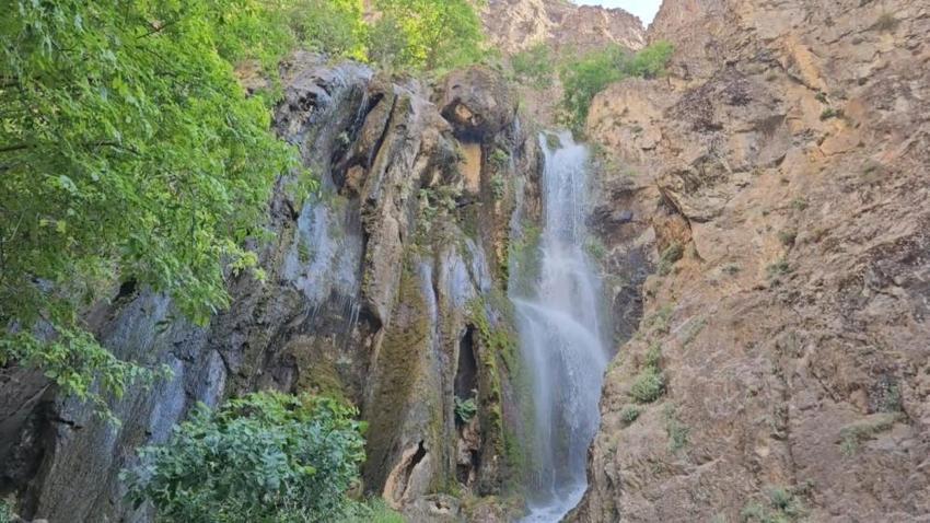 Hakkari'nin yeni gözdesi: Ava Ore görenleri mest ediyor